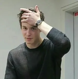 😪 Shawn Mendes singer, celebrity, musician, shawn mendes, male, pop singer telegram sticker
