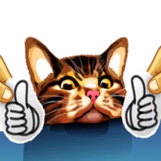 👍 кот, большой палец вверх, животное, наклейка, милый, позитивный whatsapp sticker