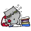 ๐ช
