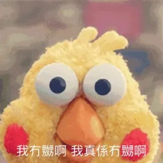 😊 我冇嬲啊 我真係冇嬲啊 귀여운, 닭, 새, 애니메이션, 웃긴 telegram sticker
