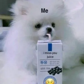 😉 Me
i miss you juice
두유 собака, сок, милый, смешной, мем telegram sticker
