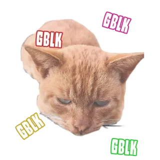 🤡 GBLK кот, мем, смешно, GBLK telegram sticker