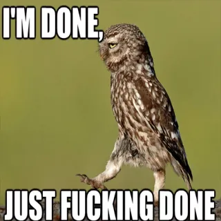 🚶 I'M DONE, JUST FUCKING DONE burung hantu, selesai, meme, jengkel telegram sticker