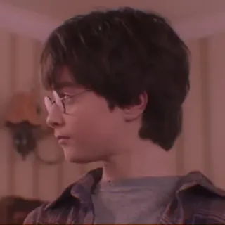 🦁 Harry Potter Harry Potter, Daniel Radcliffe, mago, magia, niño, retrato whatsapp sticker