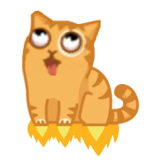 🚀 gatto, razzo, gatto soriano arancione, animale, animale domestico, divertente, meme whatsapp sticker
