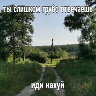 🌟 ты слишком грубо отвечаешь
иди нахуй 불쾌한, 러시아어, 도로, 경로, 욕설 whatsapp sticker