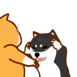 shiba jd whatsapp stickers