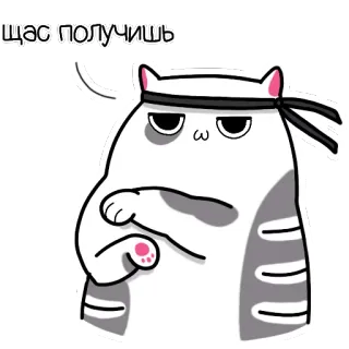 👊 щас получишь Katze, Tier, Sticker, süß, lustig, Cartoon telegram sticker