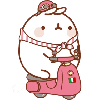 🚲 Molang rabbit, scooter, cute, cartoon, pink telegram sticker
