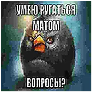 Больше стиков тут: @stikery4 whatsapp stickers