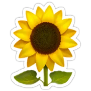 🌻 sunflower, flower, yellow, nature, plant, garden telegram sticker