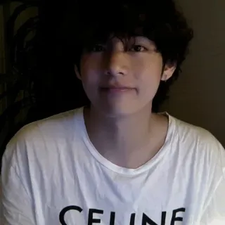 🎲 CELINE portrait, person, male, fashion, t-shirt telegram sticker