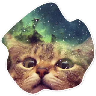 😎 kot, galaktyka, kosmos, zwierzę, zwierzak, naklejka, fantazja, mgławica telegram sticker