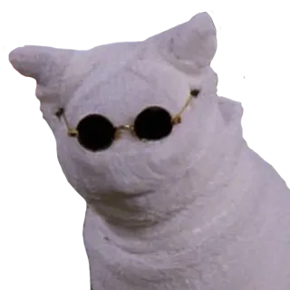😷 кот, очки, питомец, животное, крутой, солнцезащитные очки telegram sticker