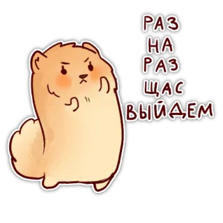💪 РАЗ НА РАЗ ЩАС ВЫЙДЕМ สัตว์, น่ารัก, โกรธ, กระรอก telegram sticker