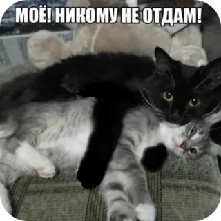 👍 МОЁ! НИКОМУ НЕ ОТДАМ! whatsapp sticker