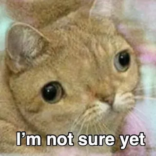 😨 I'm not sure yet Katze, süß, Meme, unsicher, fragend, Tier telegram sticker