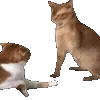 👊
