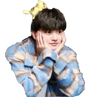 🤗 person, boy, pikachu, plaid, sweater, cute telegram sticker