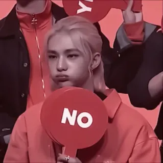 💗 NO no, negation, kpop, asian, hyunjin, stray kids whatsapp sticker