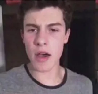 😐 Shawn Mendes celebrity, singer, musician, person, man telegram sticker