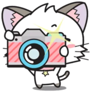 📸 cat, camera, kawaii, cute, animal, sticker whatsapp sticker
