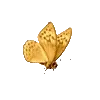 🦋