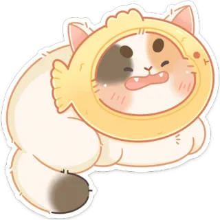 😢 gato, pegatina, lindo, sombrero de pez, animal whatsapp sticker