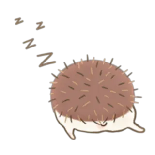 💤 z z z erizo, durmiendo, lindo, animal, dibujos animados, zzz, descanso, cansado whatsapp sticker