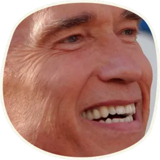 😀 Arnold Schwarzenegger ator, político, celebridade, Arnold Schwarzenegger, sorrindo telegram sticker