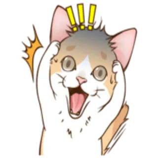😨 kucing, seru, terkejut, binatang, kartun, stiker telegram sticker