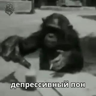 😐 депрессивный пон monyet, rokok, sedih, depresi, alkohol telegram sticker