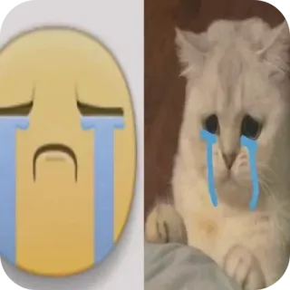 👄 khóc, buồn, emoji, mèo, meme telegram sticker