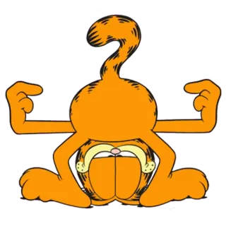 🍑 Garfield cat, cartoon, orange, animal, funny whatsapp sticker