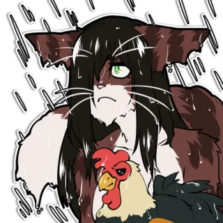 🌧 cat, chicken, rain, animal, cartoon, sticker telegram sticker
