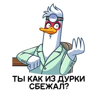 👨‍⚕️ ТЫ КАК ИЗ ДУРКИ СБЕЖАЛ? 鸭子, 医生, 卡通, 搞笑, 问题 telegram sticker