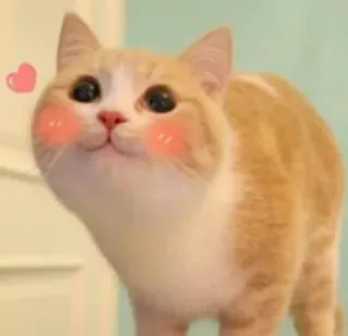 🍣 猫, 動物, 可愛い, ペット, 子猫, ハート, 家畜 telegram sticker