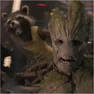 😡 Rocket Raccoon, Groot Guardians of the Galaxy marvel, rocket raccoon, groot, guardians of the galaxy, film, charaktere telegram sticker