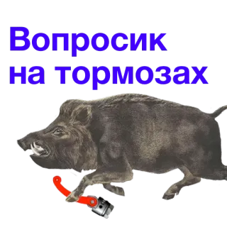 🤐 Вопросик на тормозах jabalí, cerdo salvaje, animal, coche, pistón, transporte telegram sticker