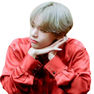 😏 ritratto, persona, uomo, k-pop, cantante telegram sticker