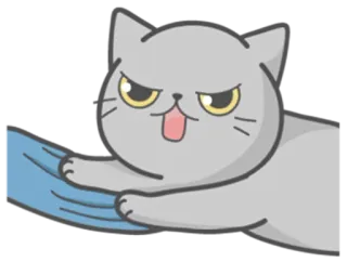 😠 kat, boos, geïrriteerd, huisdier, kitten, cartoon, dier telegram sticker
