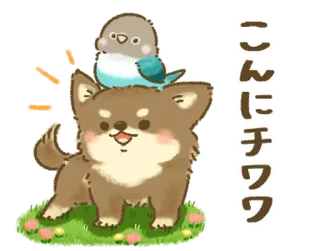 🦜 こんにちは cachorro, pássaro, fofo, animal, saudação telegram sticker
