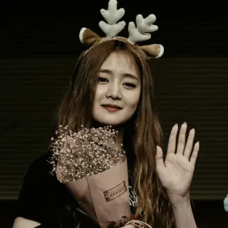 ✖️ woman, flowers, reindeer, girl, asian, kpop, cute telegram sticker