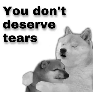 😂 You don't deserve tears Doge, Meme, Confort, Empatía, Motivacional telegram sticker