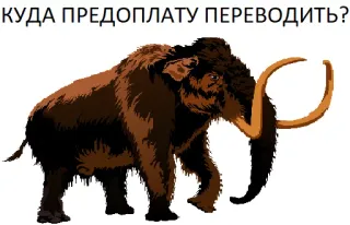 😘 КУДА ПРЕДОПЛАТУ ПЕРЕВОДИТЬ? 猛犸, 预付款, 动物, 冰河时代 telegram sticker