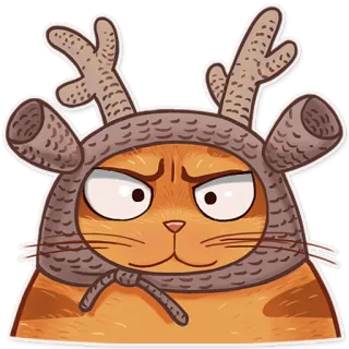 😐 cat, animal, hat, funny, cute whatsapp sticker