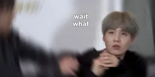 🍁 wait what Meme, Reaktion, Verwirrt, K-Pop telegram sticker