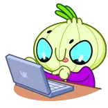 💻