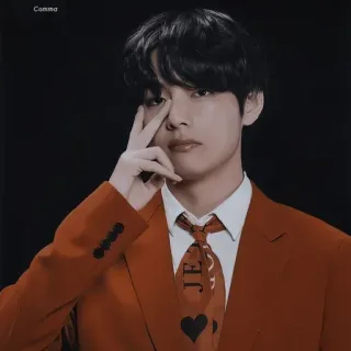 ✌️ V kpop, bts, sänger, idol, mode, porträt telegram sticker