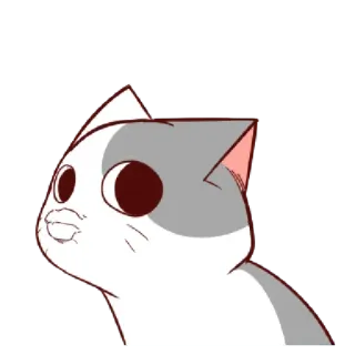 😗 cat, cartoon, funny, animal, meme telegram sticker